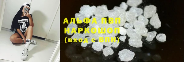 ПСИЛОЦИБИНОВЫЕ ГРИБЫ Белокуриха