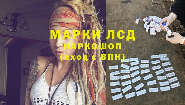 ПСИЛОЦИБИНОВЫЕ ГРИБЫ Белокуриха