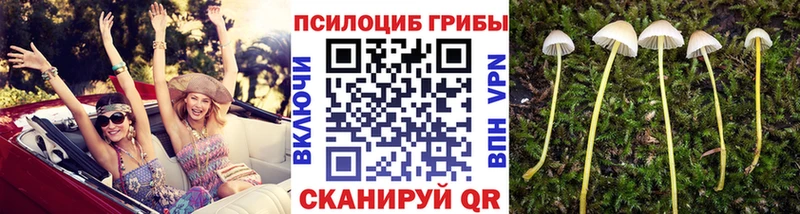 Галлюциногенные грибы мухоморы Верхоянск