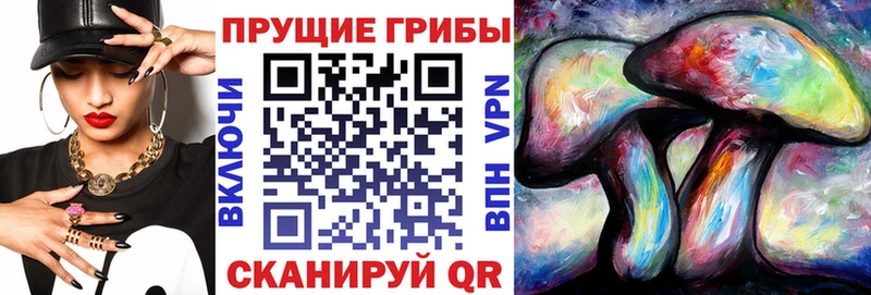Псилоцибиновые грибы Psilocybe  Купить где  Верхоянск 
